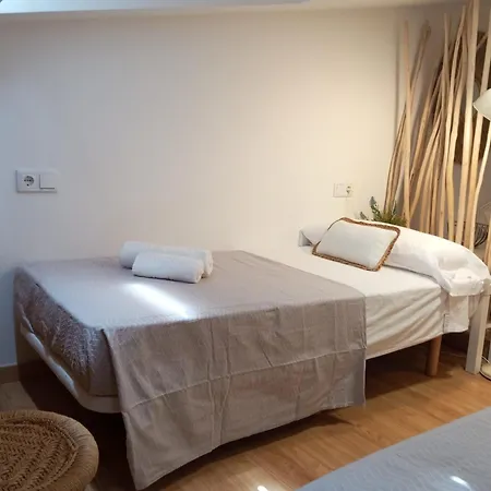 Coruna Vip Centro Apartment *